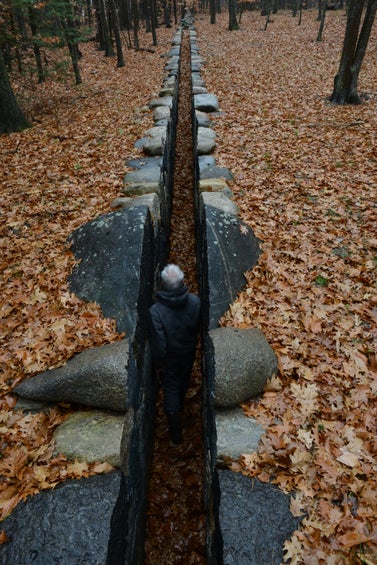 Andy Goldsworthy in Leaning Into the WInd