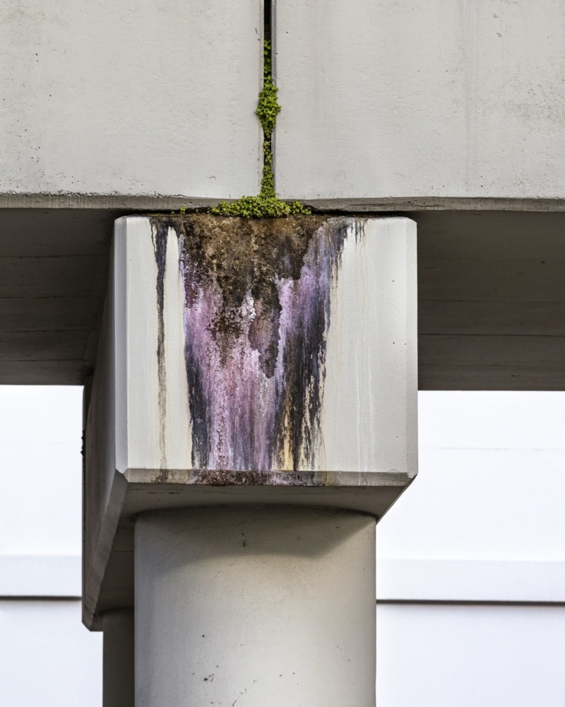 a pillar with multi colored moss and mold