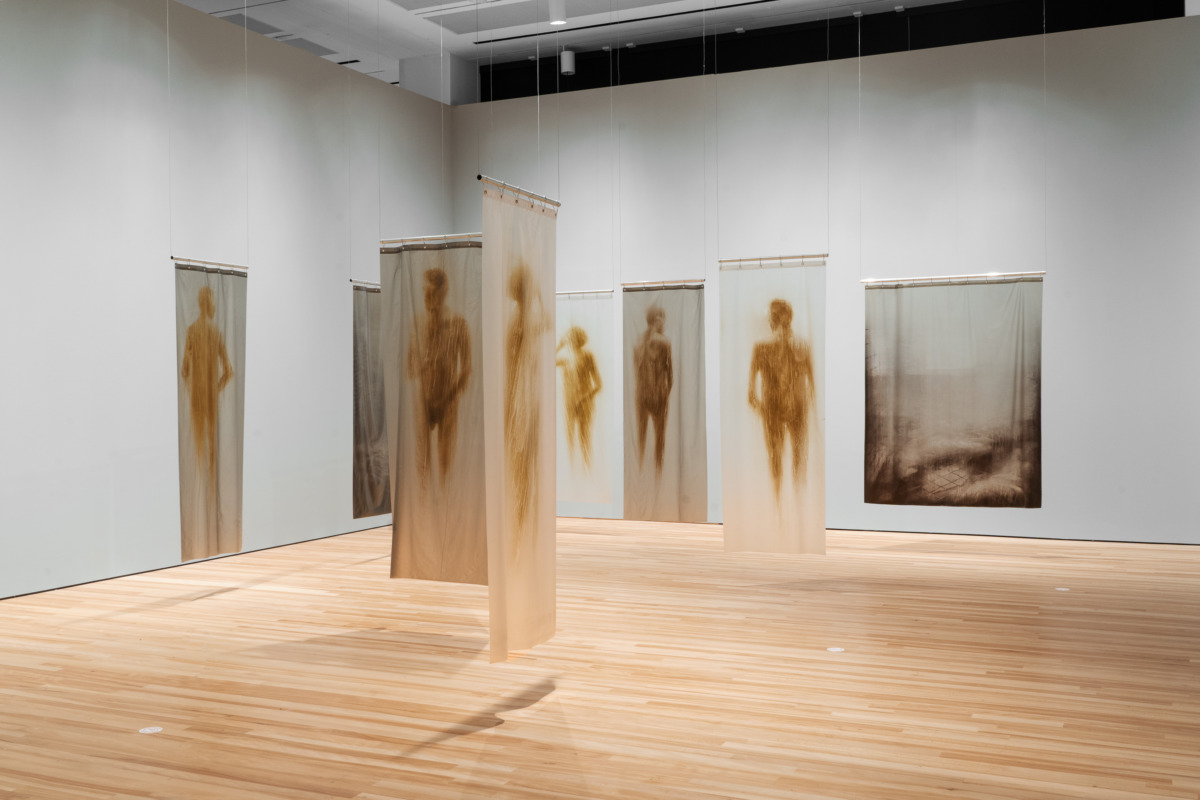 a white walled gallery with light wood floors. eight shower curtains hang with figures of bodies as shadows on the curtains, in light yellow.. 