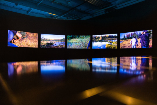 five video screens in a horizontal line in a dark room, the reflections of the environmental scenes depicted on each screen reflect off of the shiny floor