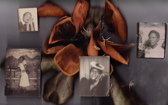 flat lay of old photographs and flowers