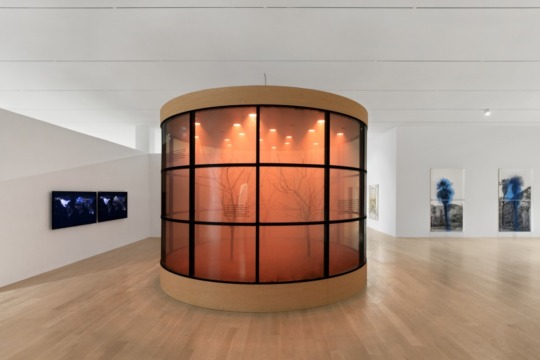 installation image of exhibition featuring orange case containing sculpture trees