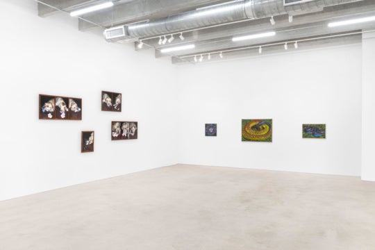 installation view of gallery exhibition