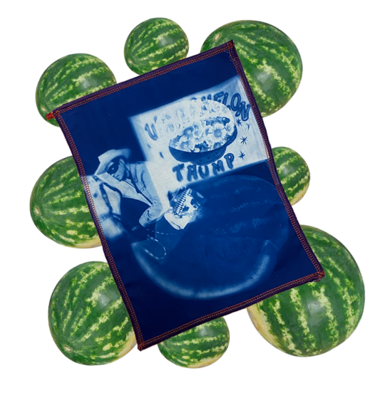 scan of cyanotype with watermelons in the background