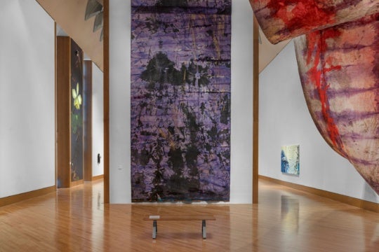 Installation view of Mette Tommerup's work in Of what surrounds me at The Patricia and Phillip Frost Art Museum at Florida International University, Miami. Photograph by Pedro Wazzan and courtesy of The Patricia and Phillip Frost Art Museum at Florida International University, Miami.